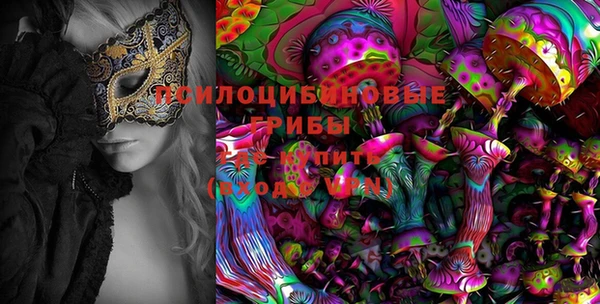 apvp Баксан